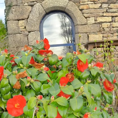 Gites De La Haie Plouégat-Moysan Exterior foto